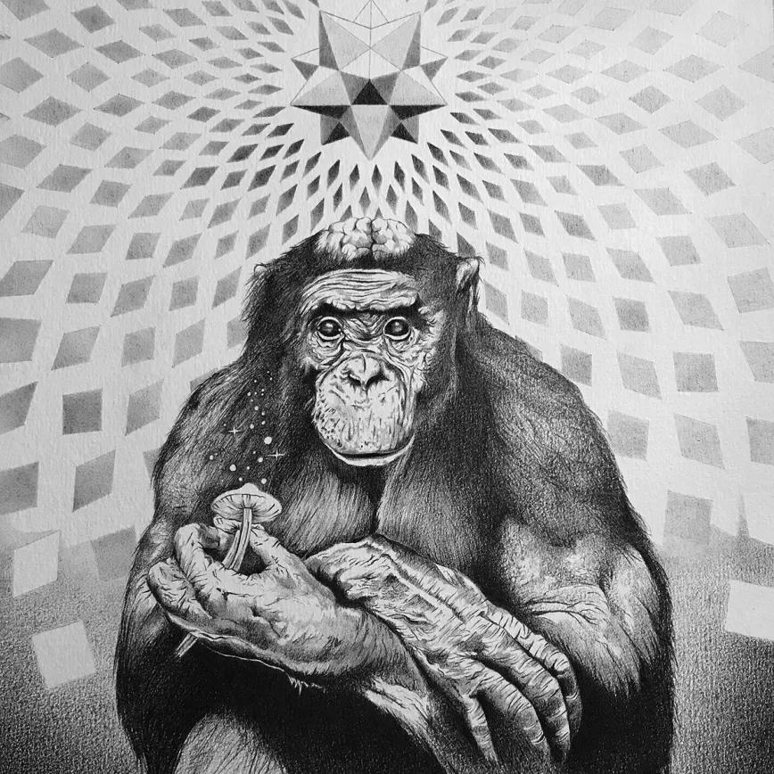 Neurociencia y epigenética reabren el debate sobre la teoría del mono drogado