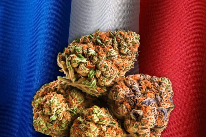 Francia extiende el cannabis medicinal y demora su regulación definitiva