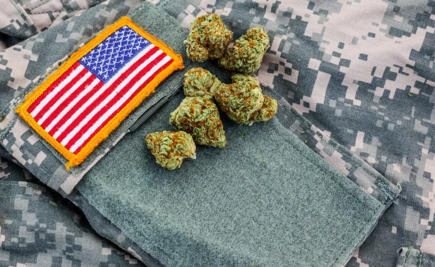 Veteranos usan cannabis medicinal aunque lo ocultan a sus médicos tratantes