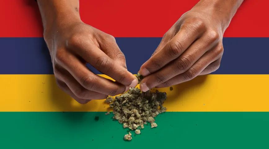 Mauricio abre revisión técnica de su legislación sobre cannabis