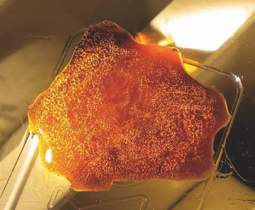 Imagen sin descripción