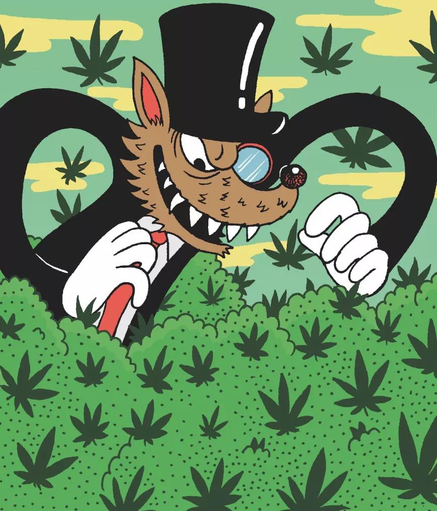 Imagen sin descripción