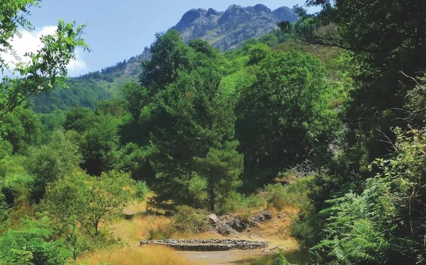 Imagen sin descripción