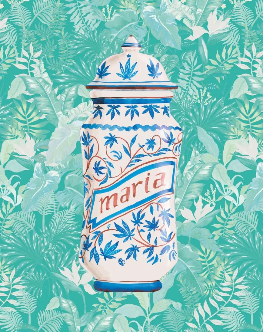 Imagen sin descripción