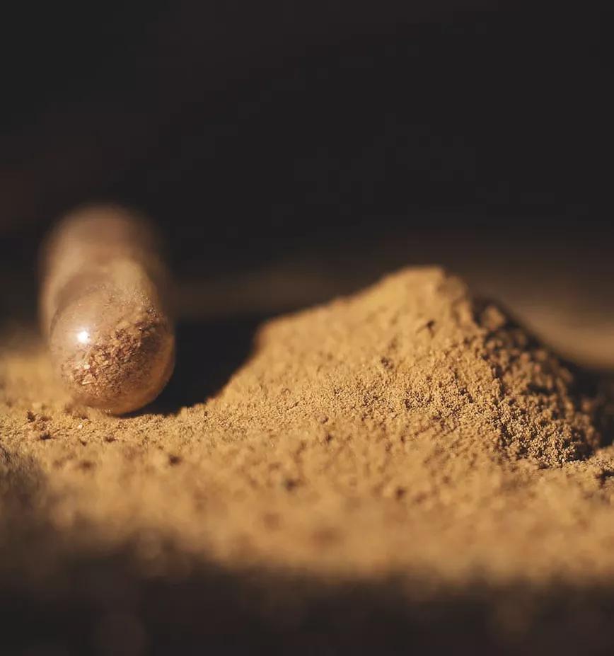 Imagen sin descripción