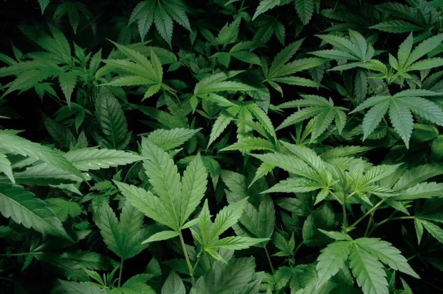 Imagen sin descripción