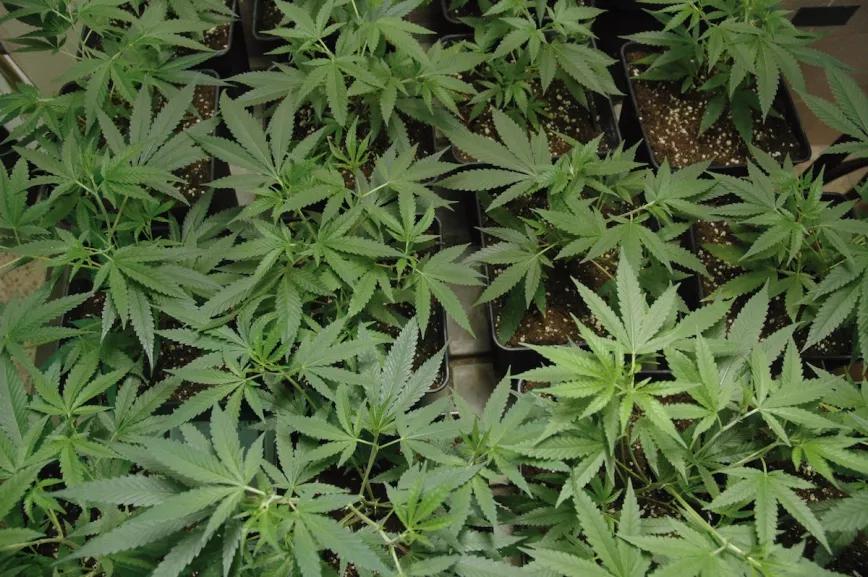 Imagen sin descripción