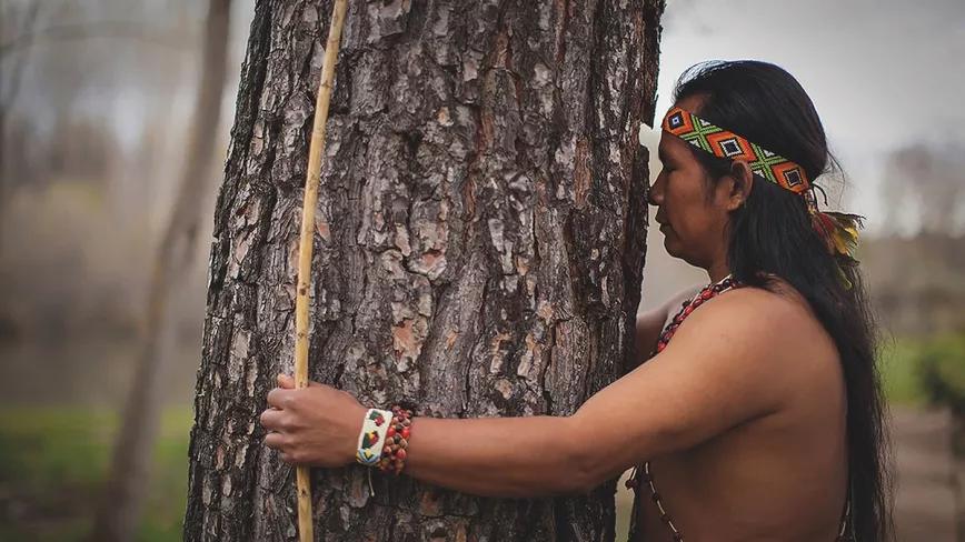 Imagen sin descripción