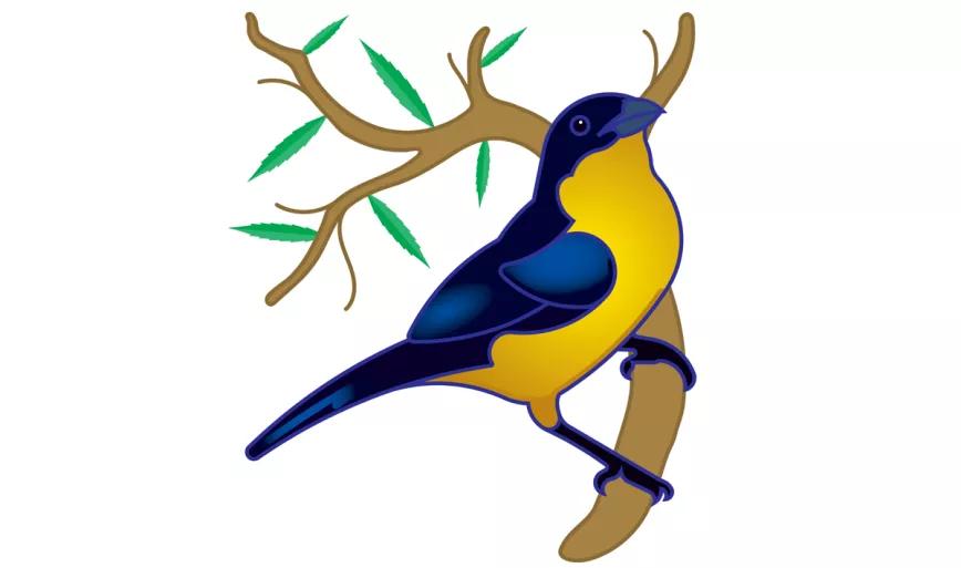 Imagen sin descripción