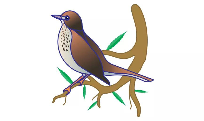 Imagen sin descripción