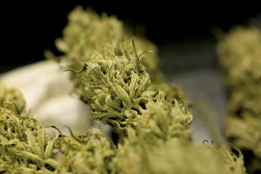 Imagen sin descripción