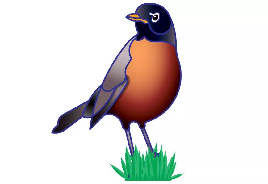 Imagen sin descripción