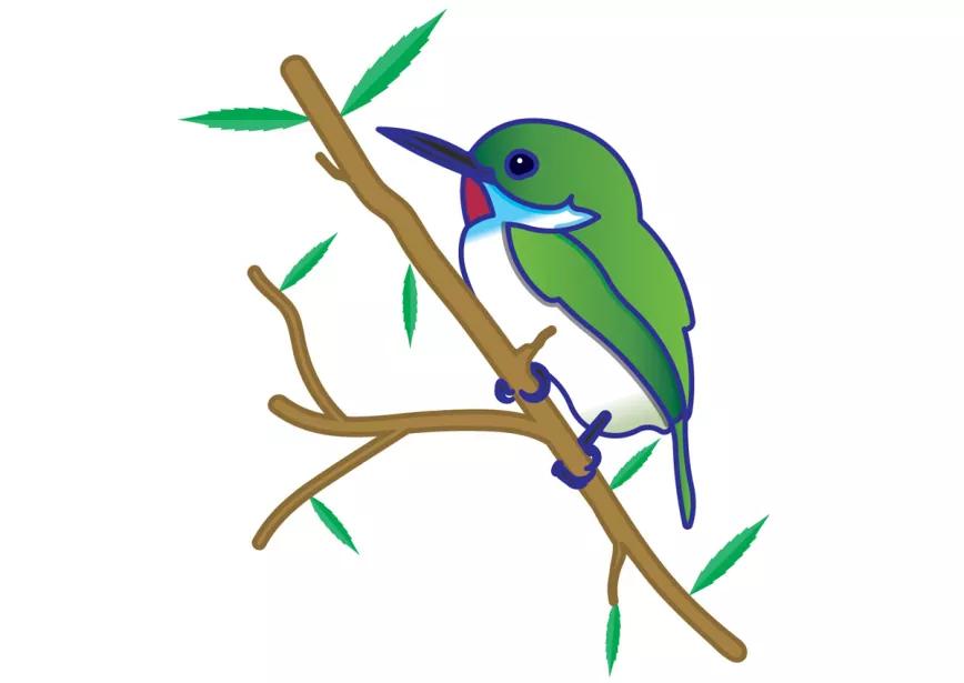 Imagen sin descripción