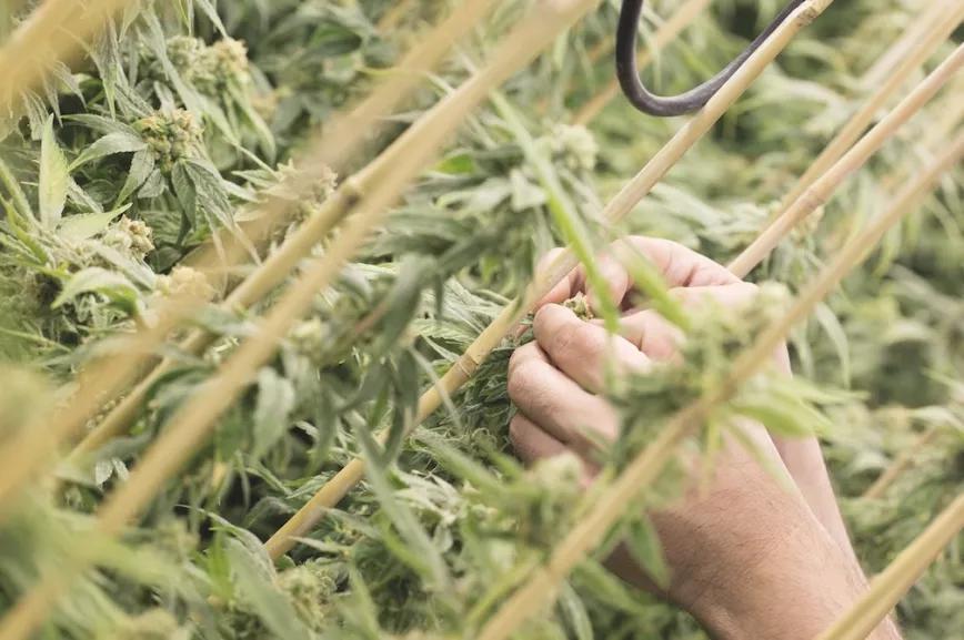 Imagen sin descripción