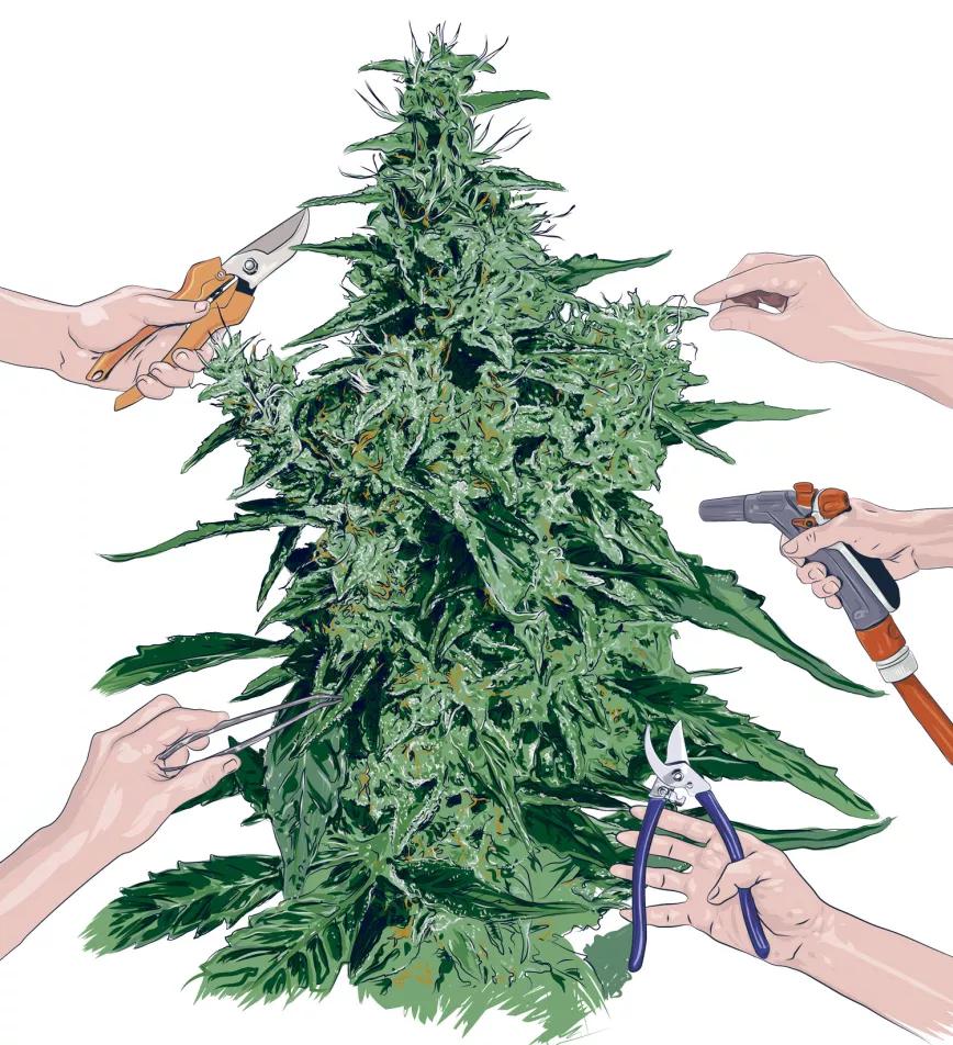 Imagen sin descripción