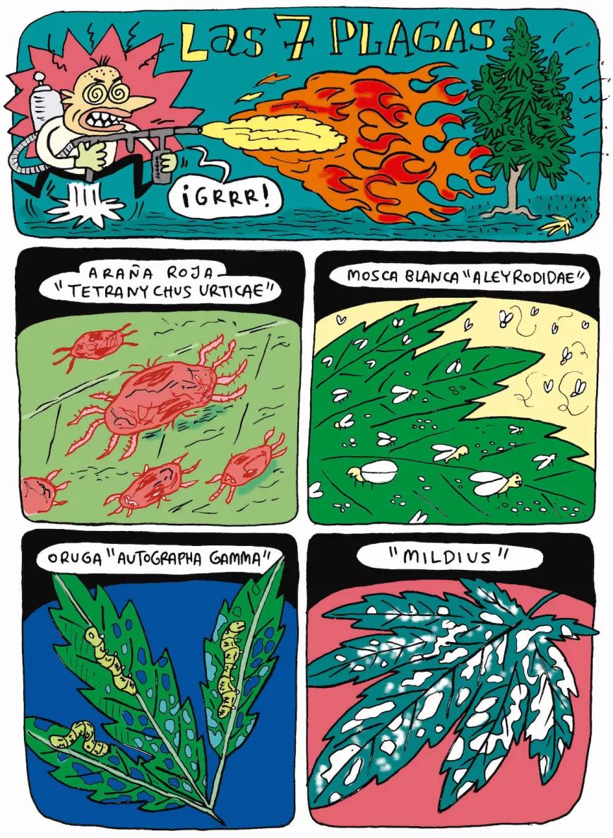 Imagen sin descripción