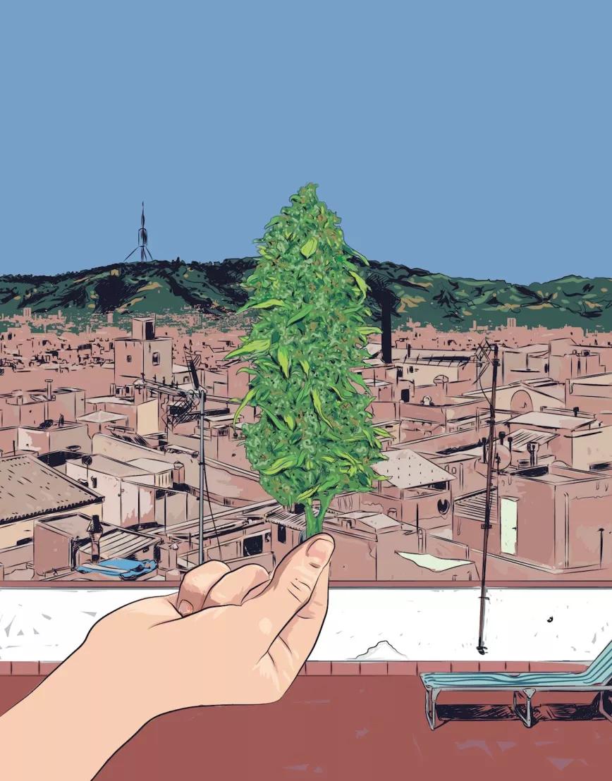 Imagen sin descripción