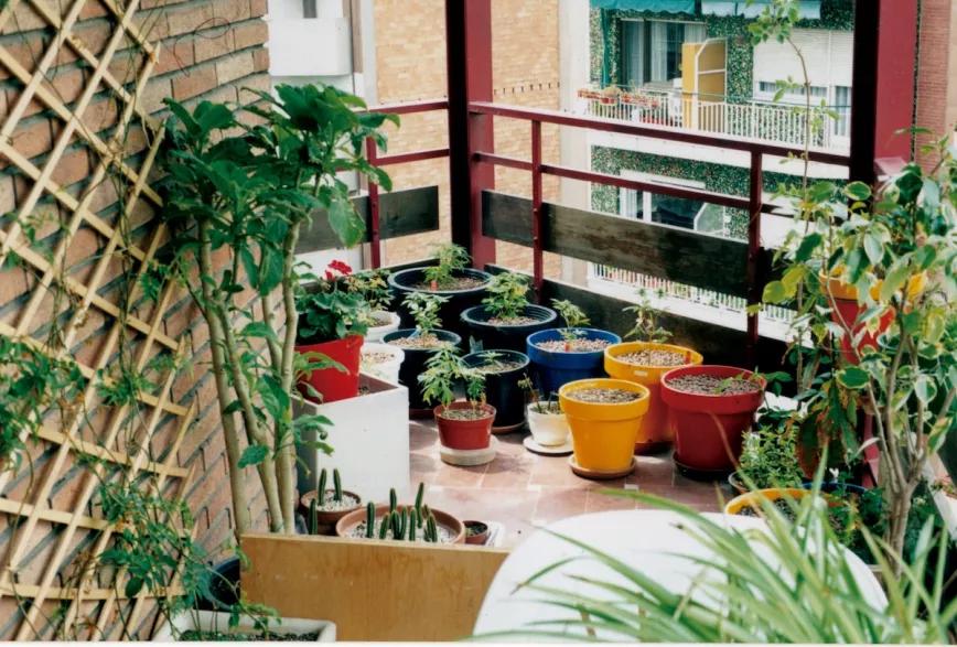 Imagen sin descripción