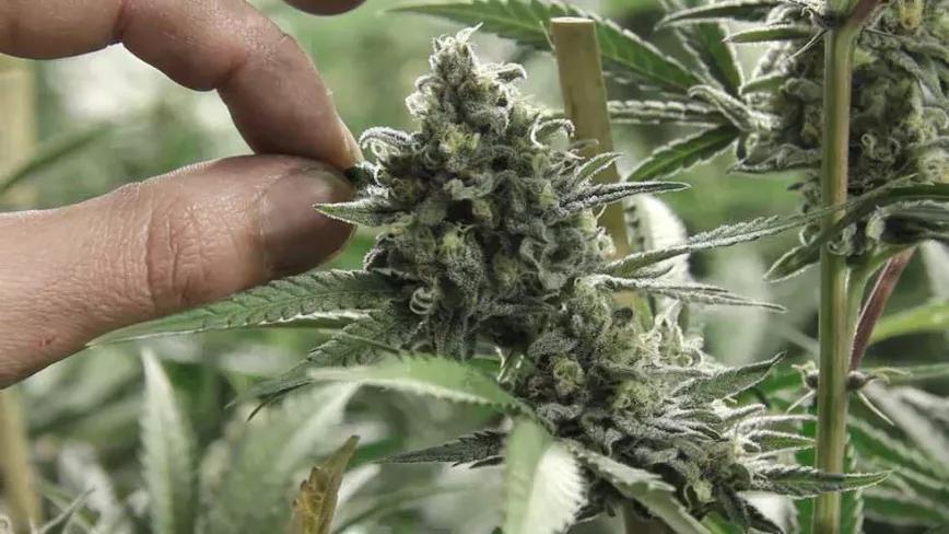 Imagen sin descripción