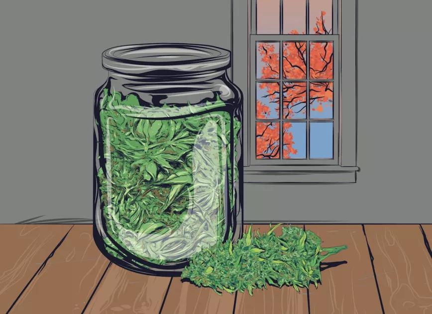 Imagen sin descripción