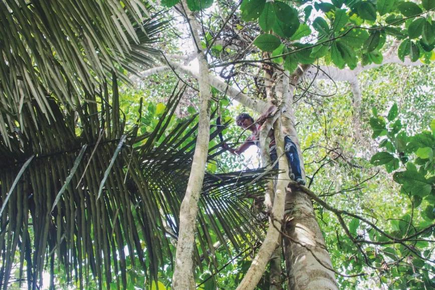 Imagen sin descripción