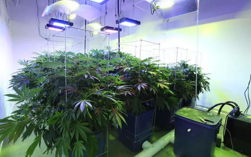 Imagen sin descripción