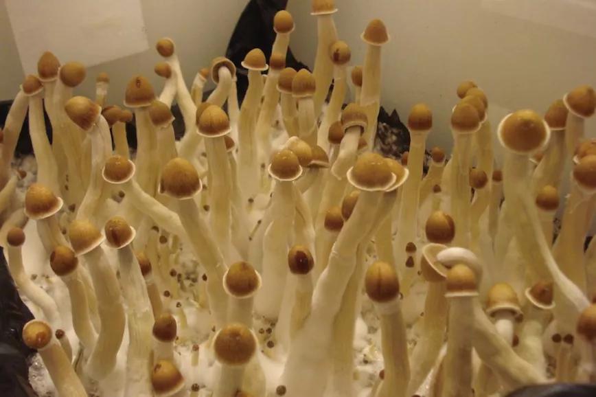 Imagen sin descripción