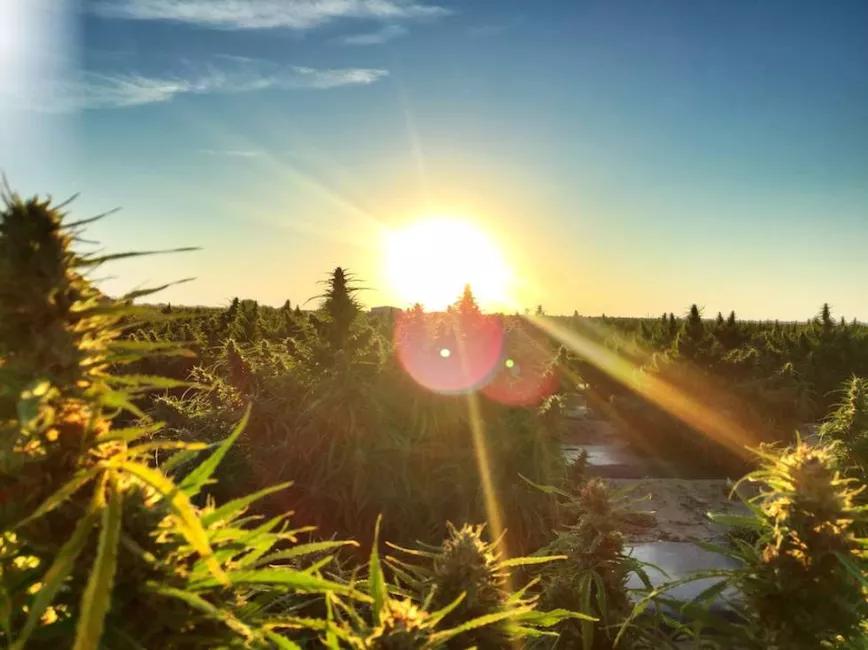 Imagen sin descripción