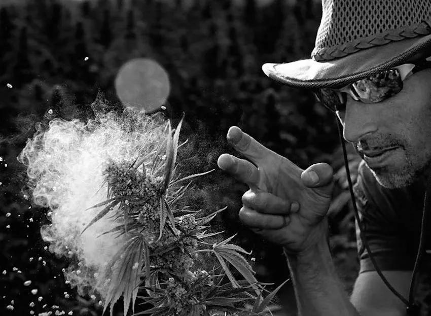 Imagen sin descripción