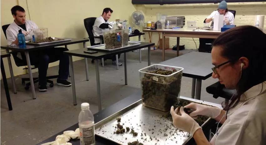 Imagen sin descripción