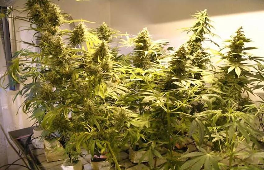 Imagen sin descripción