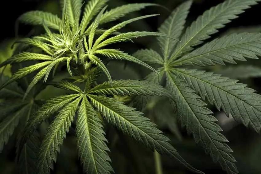 Imagen sin descripción