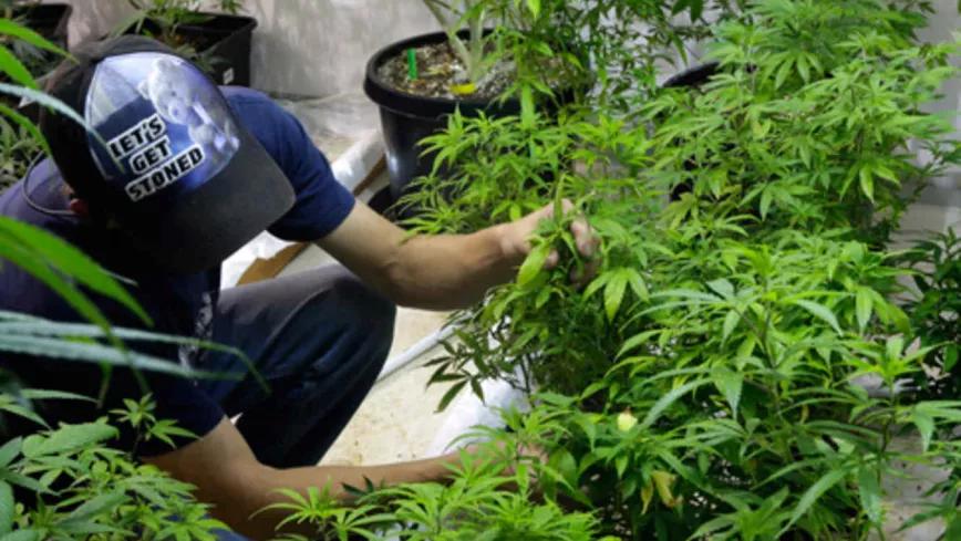 Imagen sin descripción