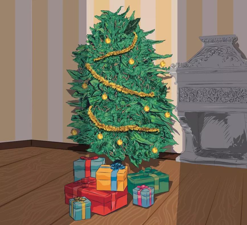 Imagen sin descripción