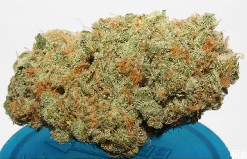 Imagen sin descripción