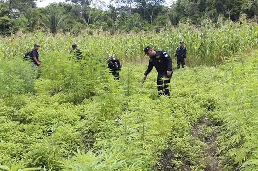 Imagen sin descripción