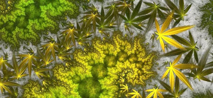 Imagen sin descripción