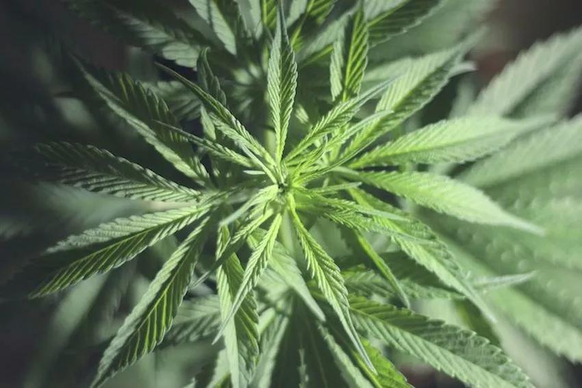 Imagen sin descripción