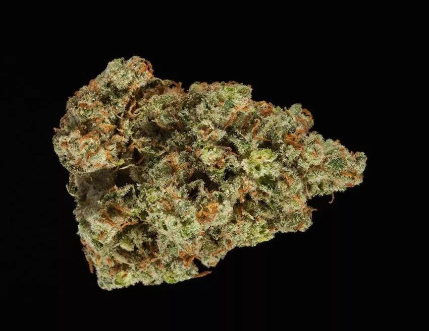 Imagen sin descripción