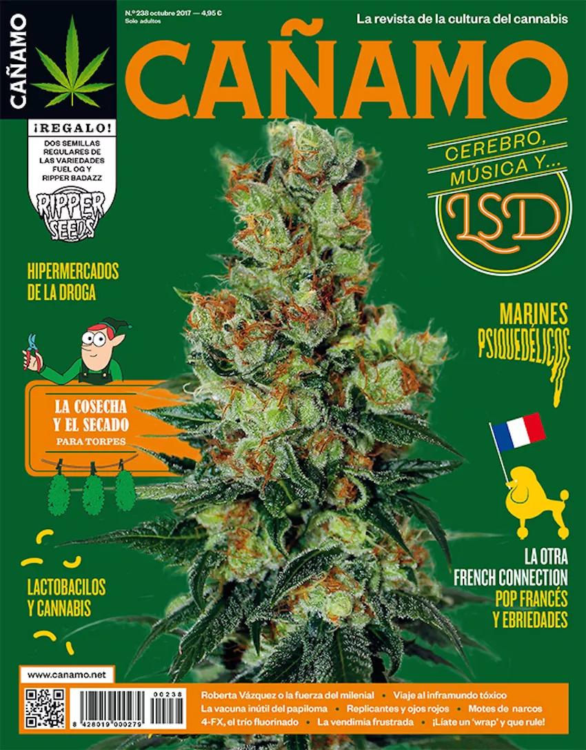 Imagen sin descripción