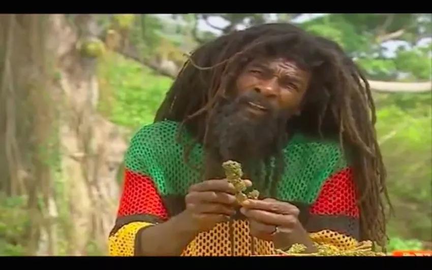 Imagen sin descripción