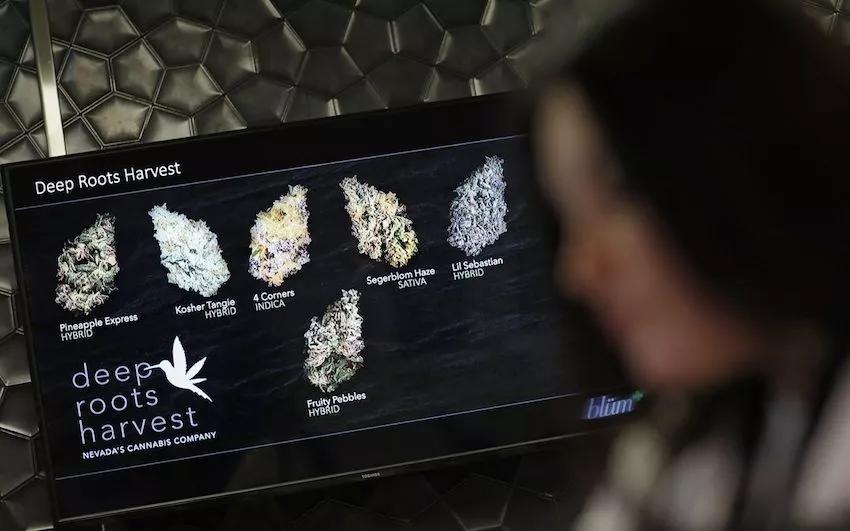 Imagen sin descripción