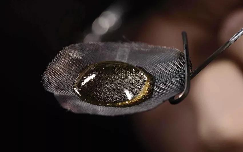 Imagen sin descripción