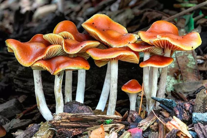 Imagen sin descripción