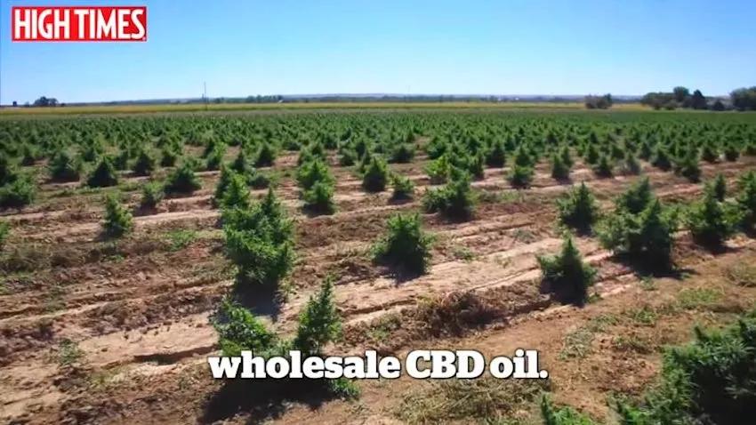 Imagen sin descripción