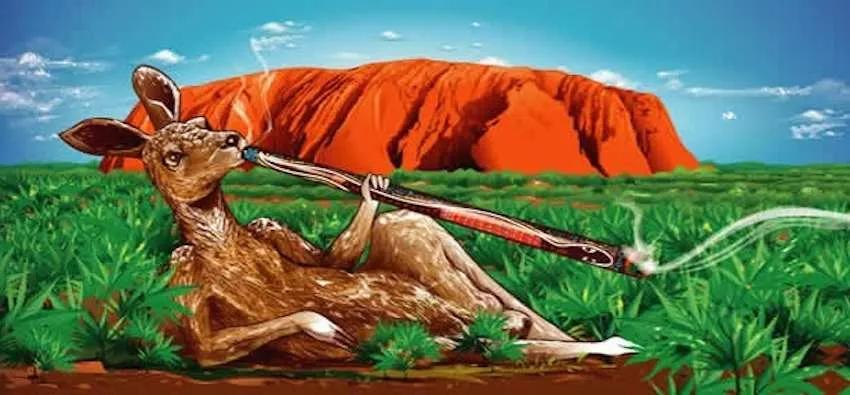 Imagen sin descripción