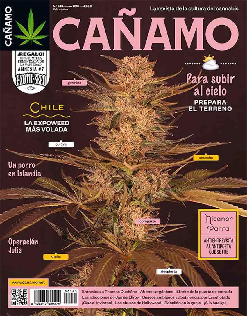 Imagen sin descripción