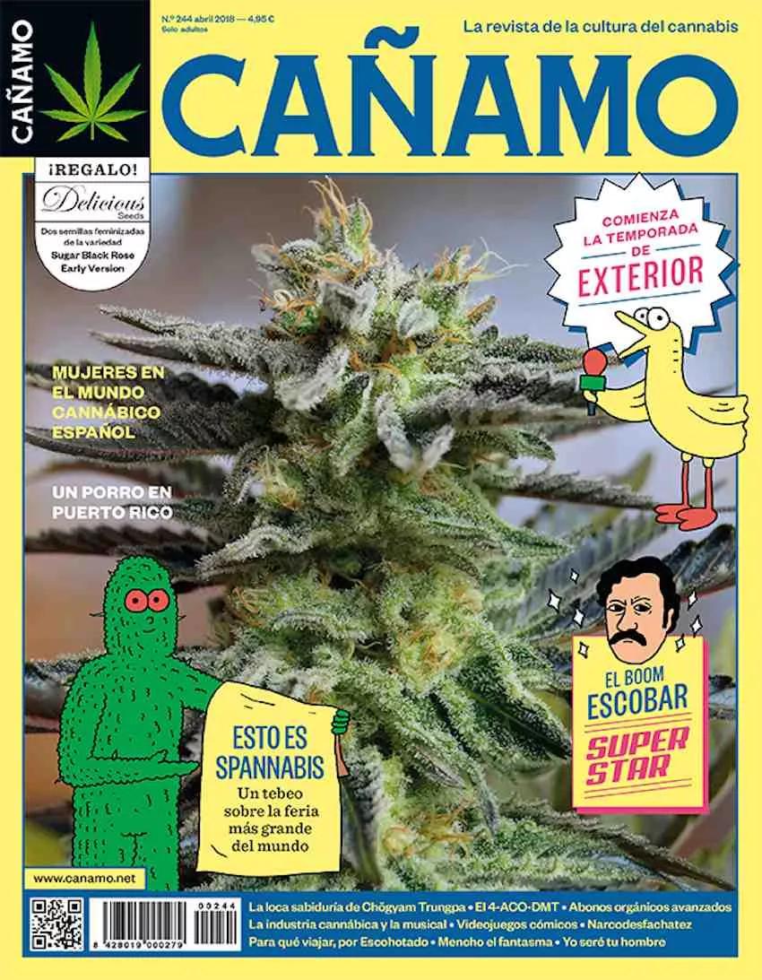 Imagen sin descripción