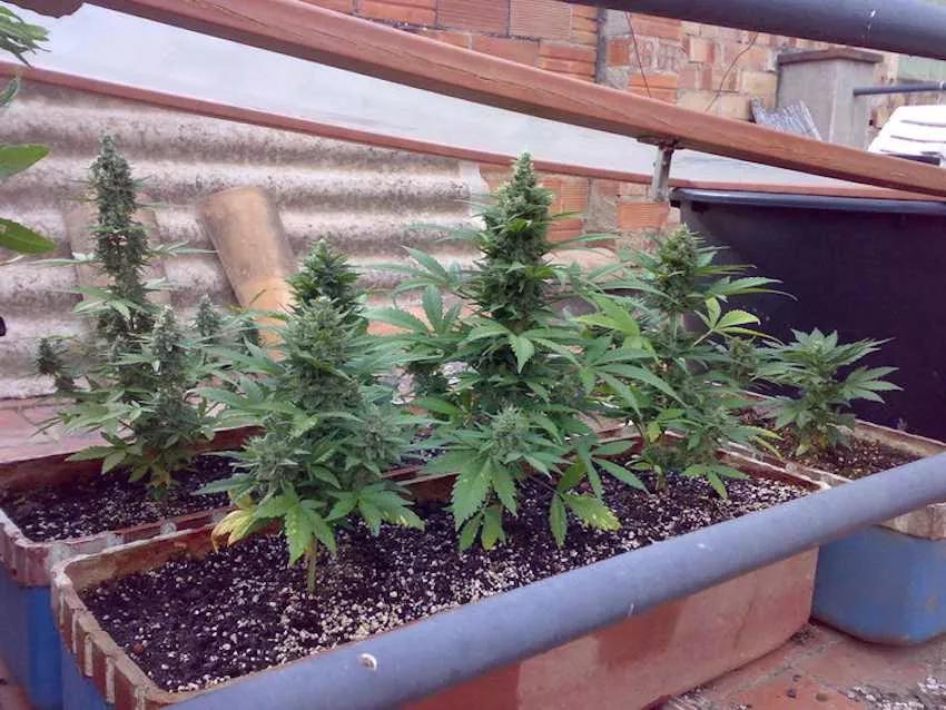 Imagen sin descripción