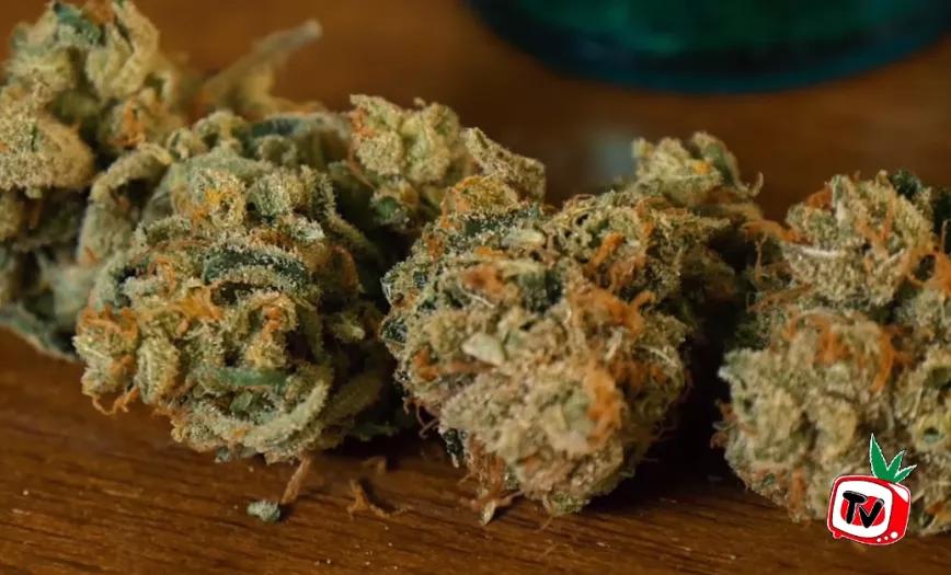 Imagen sin descripción